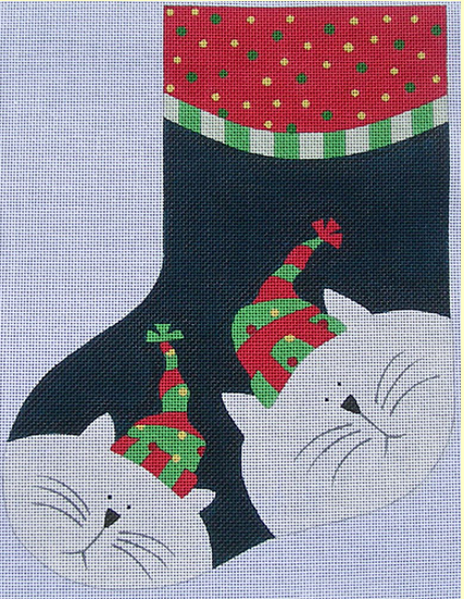 cat stocking