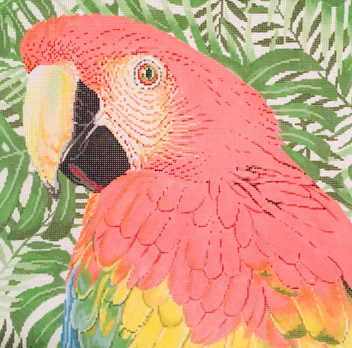 parrot 4